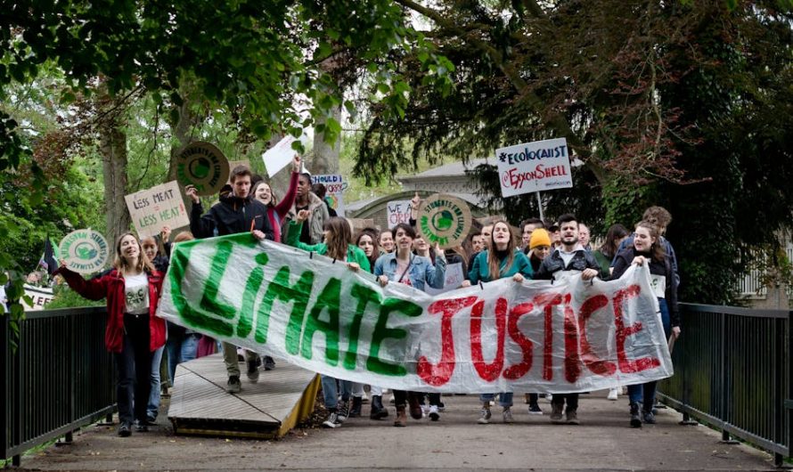 Купить диплом дизайнера в Захарово