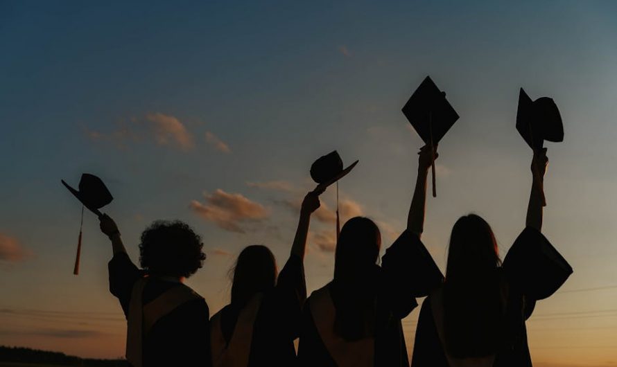 Купить диплом программиста в Осе